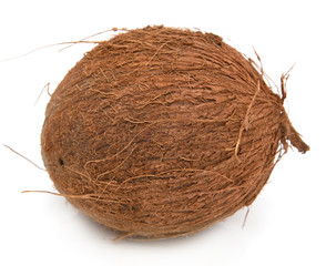 coconut on a white background
