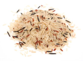 long colorful figure on a white background