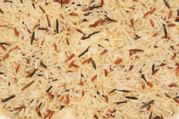 long colorful figure on a white background