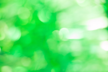 Obraz premium green bokeh