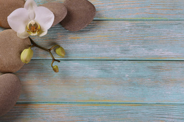 Spa stones and orchid flower on wooden background