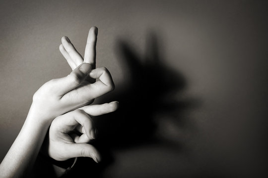 Hands gesture like hare on gray background
