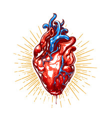 Heart Vector Art