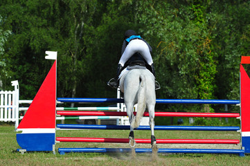 saut d'obstacles