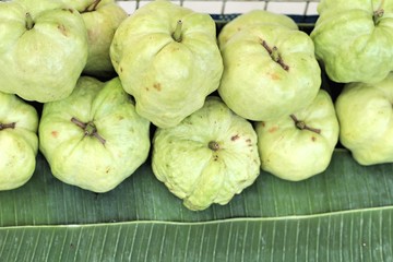 Guava fruit in the market