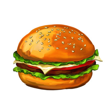 hamburger walnuts vector illustration  painted watercolor 