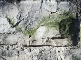 Lime stone background shaddy