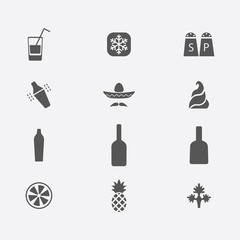 Flat style alcohol cocktail ingredients icons set