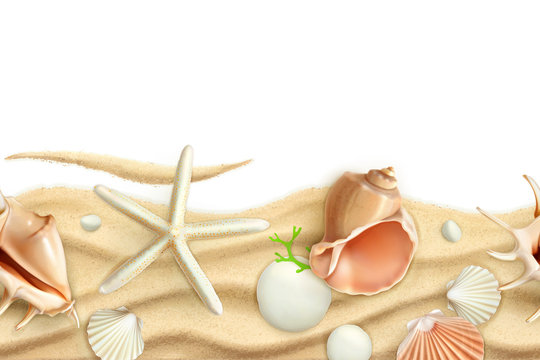 Seashells on sand, vector seamless background