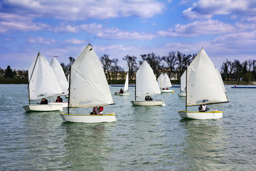Fototapeta premium Lots of Small white boats sailing on the lake 