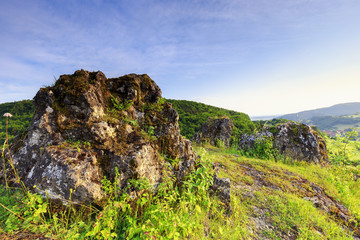 Summer Landscape in the Franconian Switzerland, Germany.