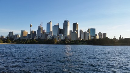 Fototapeta premium Sydney city from Mrs Macquarie Point, Sydney, Australia