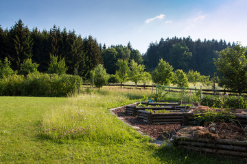 Fototapeta na wymiar ecological garden with orchard, beds and meadow