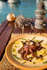 Grilled octopus on picnic table on seaside