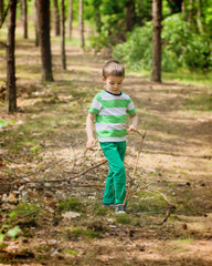 Boy is playing in the wood