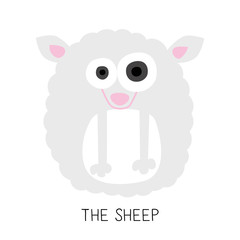 Card with cute illustrated sheep. Vector design.