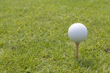 Golf Driver.