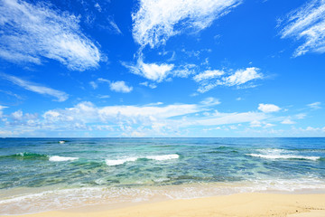 南国の美しいビーチと紺碧の空