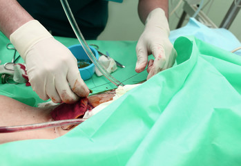 Doctor holds a surgical procedure