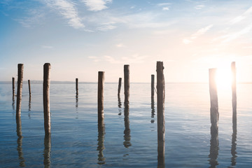 lots of poles planted in the water