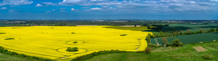 Obraz premium Luftbild Panorama eines Rapsfeldes in Mecklenburg Vorpommern