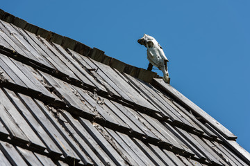 Horse Skull. Horse Skull on Top of the House.