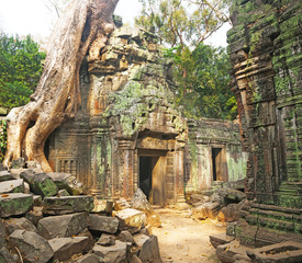 Fototapeta premium Angkor Watt temple complex, Cambodia