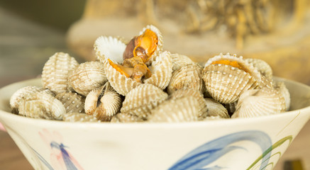 Blood cockle or Anadara granosa or blood clam in a white bowl