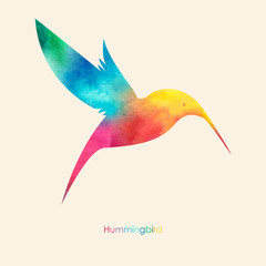Watercolor colorful  bird. Watercolor painting