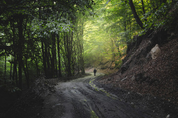 man walking on forest road at sunset