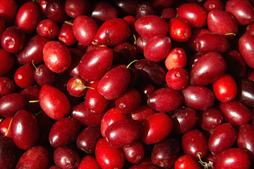 Cornelian cherries at the farmers market, close up