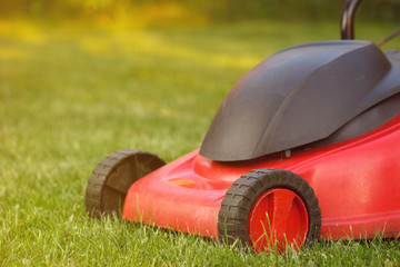 Fototapeta premium Lawn mower on green grass