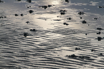 Wattenmeer, Schleswig-Holstein, Deutschland