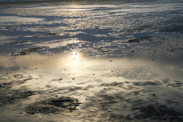 Wattenmeer, Schleswig-Holstein, Deutschland