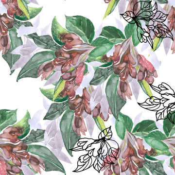 Weigela