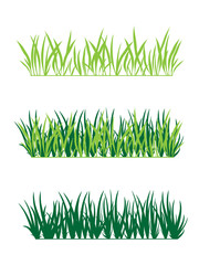 background of green grass