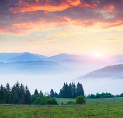 Fototapeta na wymiar Colorful summer morning in the foggy Carpathian mountains