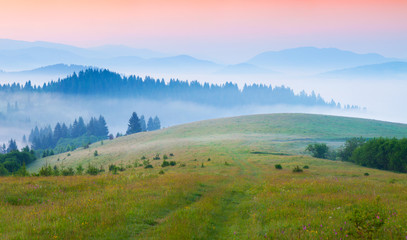 Fototapeta na wymiar Sunny summer morning in the foggy Carpathian mountains.