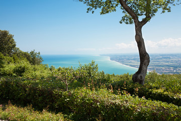 paesaggio di campagna con vista su mare
