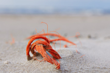 Strandgut: Tau