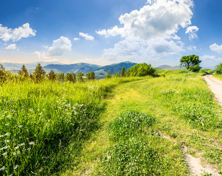 road through the meadow on hillside