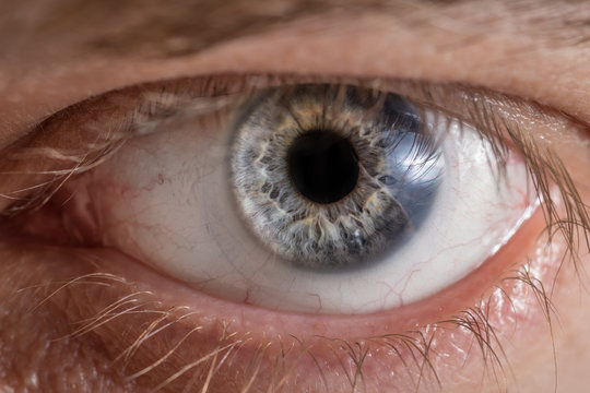 Blue man eye with contact lens, macro shot. 