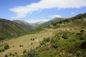 Naklejka premium Montañas y campos en Sierra de Gredos