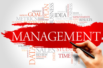 Management word cloud, business concept