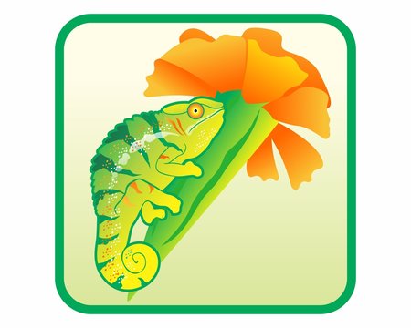 chameleon reptile flower