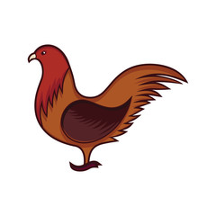 Chicken vector illustration