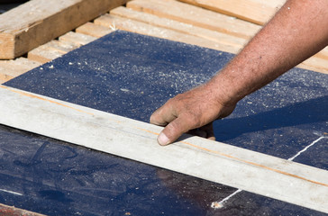 Worker preparing plank for cutting