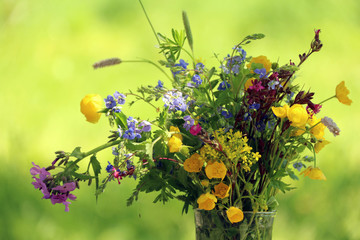 Полевые цветы 11