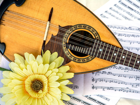 Mandoline met bloem en bladmuziek