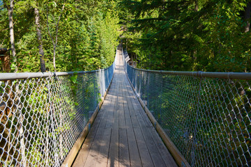 Hängebrücke bei den Cracy Creek Falls, British Columbia, Kanada